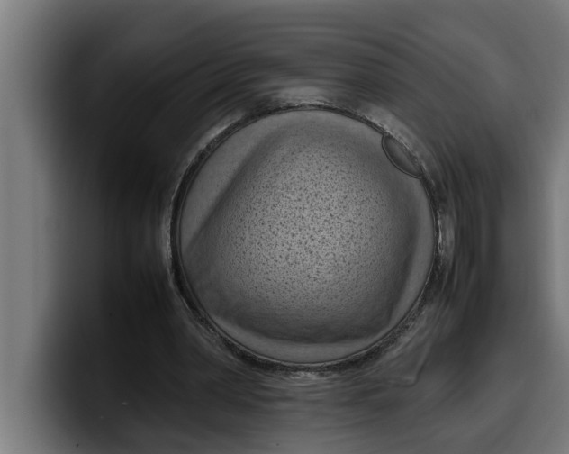 X0000099980390200806131403