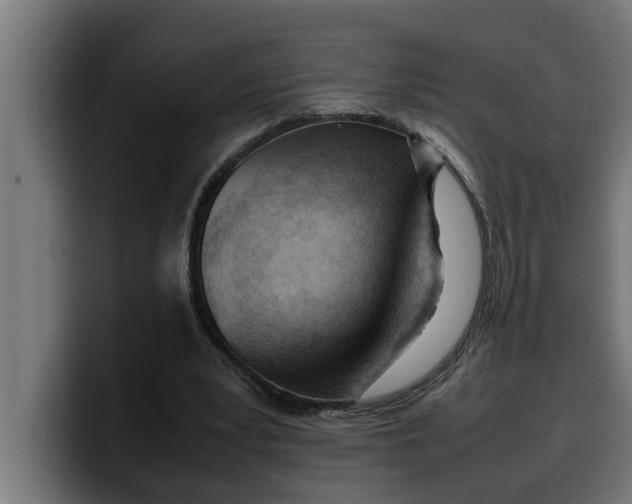 X0000099980391200806131403