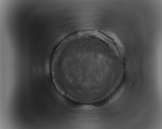 X0000099980393200806131403