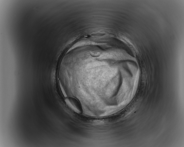 X0000099980394200806131403