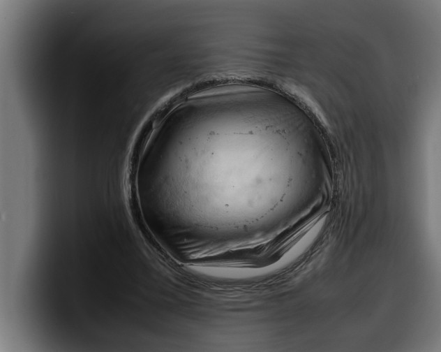 X0000099980395200806131403