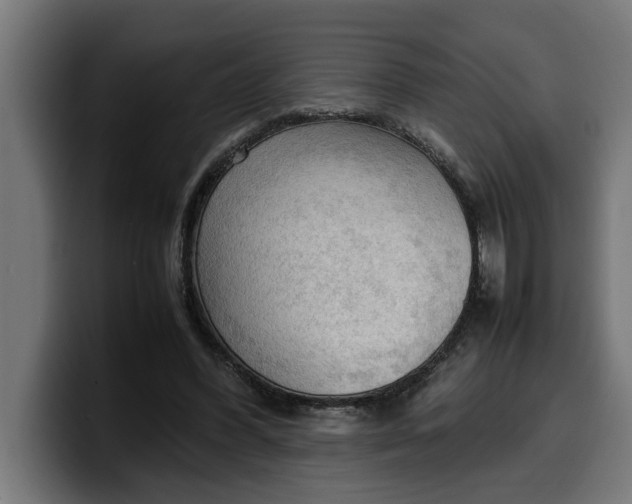 X0000099980396200806131403