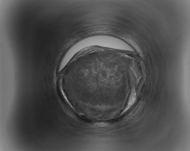 X0000099980397200806131403