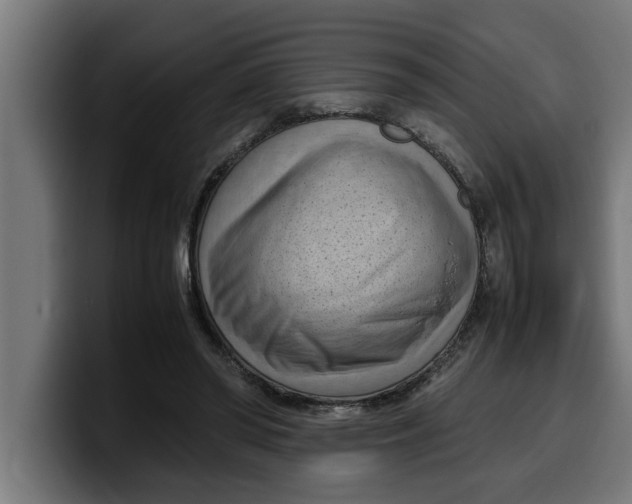 X0000099980398200806131403