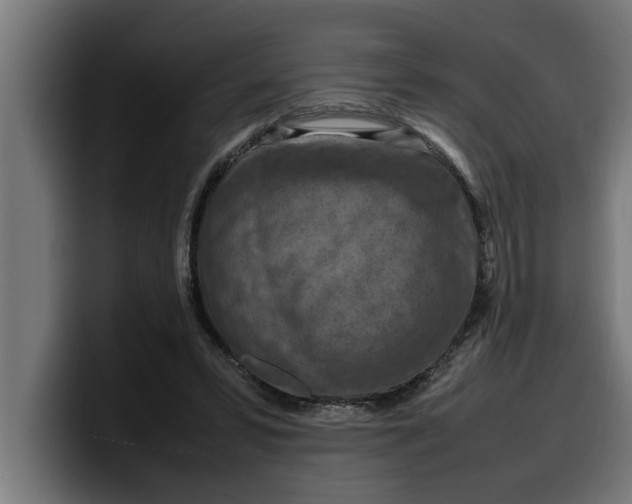 X0000099980399200806131403