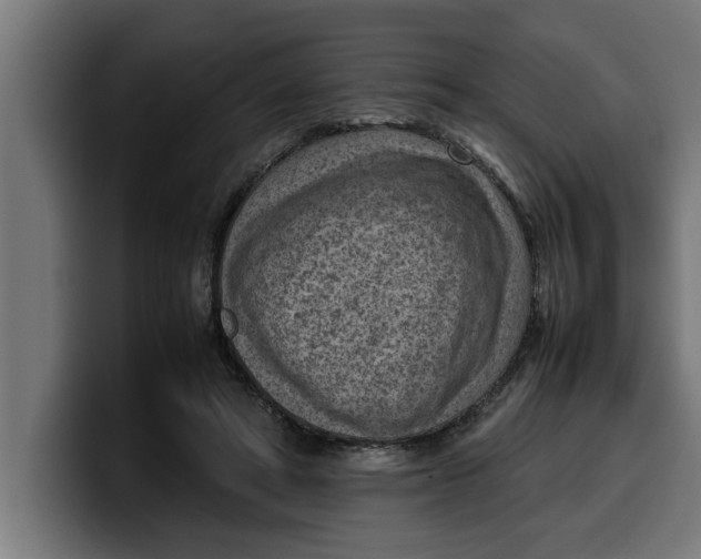 X0000099980402200806131403