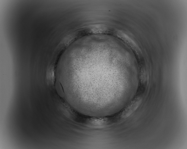 X0000099980405200806131403