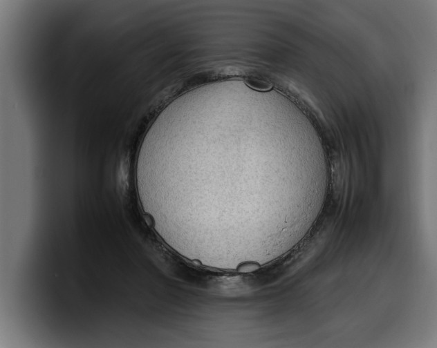 X0000099980406200806131403