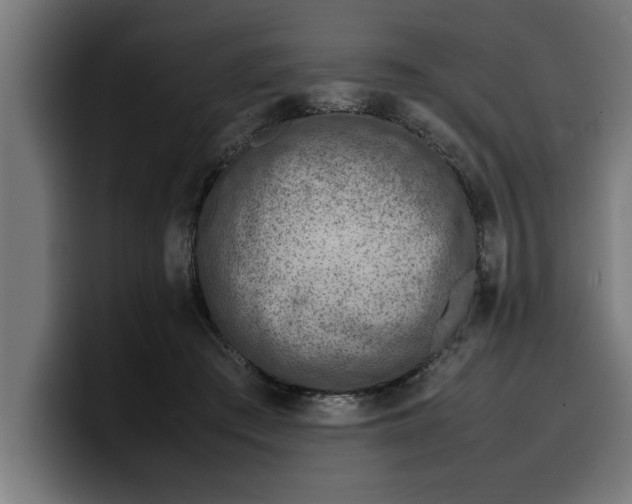 X0000099980409200806131403