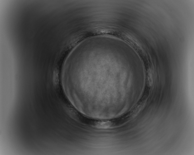 X0000099980410200806131403