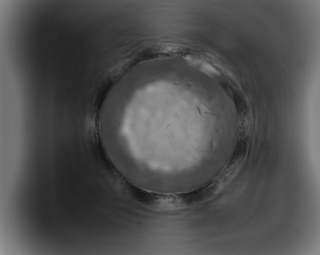 X0000099980415200806131403