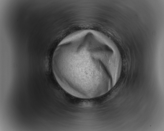 X0000099980416200806131403