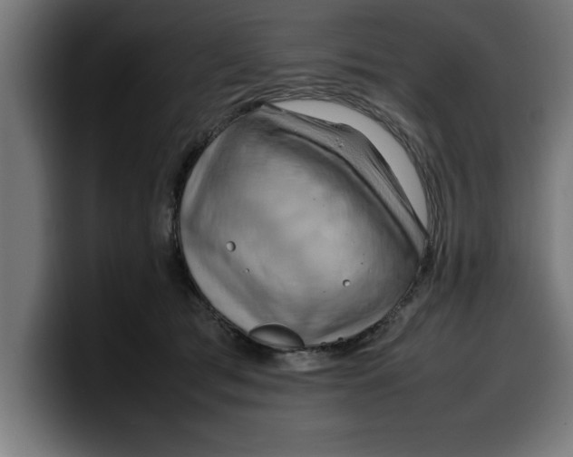 X0000099980417200806131403