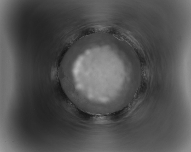 X0000099980419200806131403