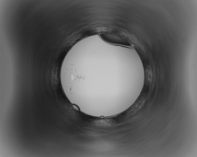 X0000099980422200806131403