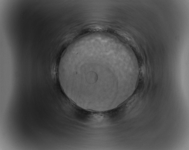 X0000099980423200806131403