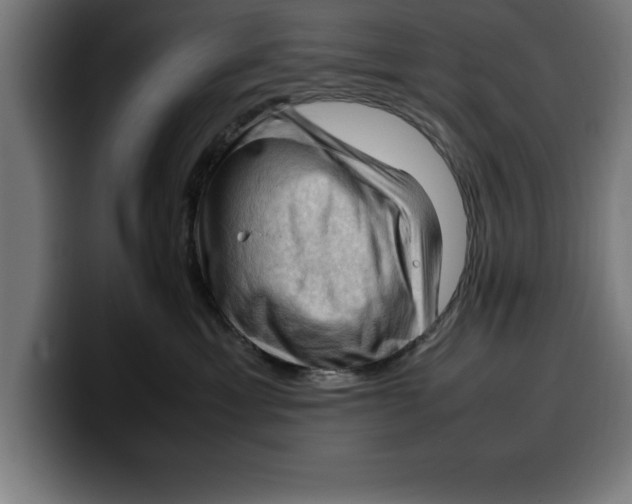 X0000099980429200806131403