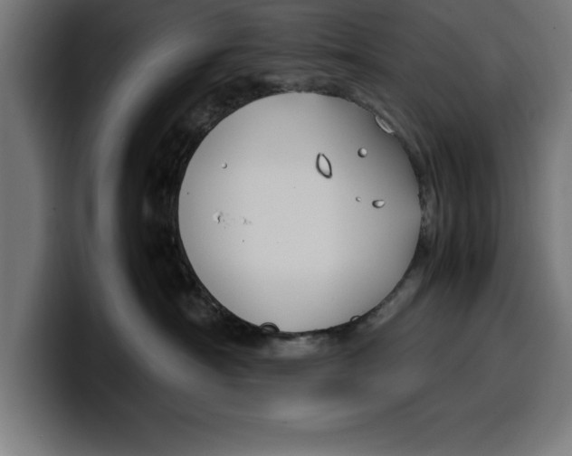 X0000099980430200806131403