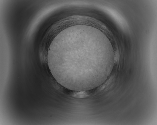 X0000099980431200806131403