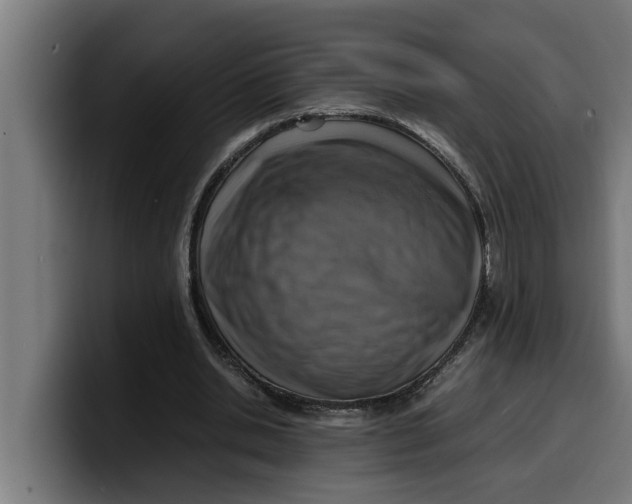 X0000099980438200806131402