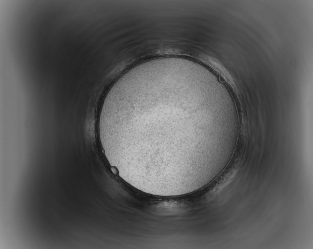 X0000099980441200806131402