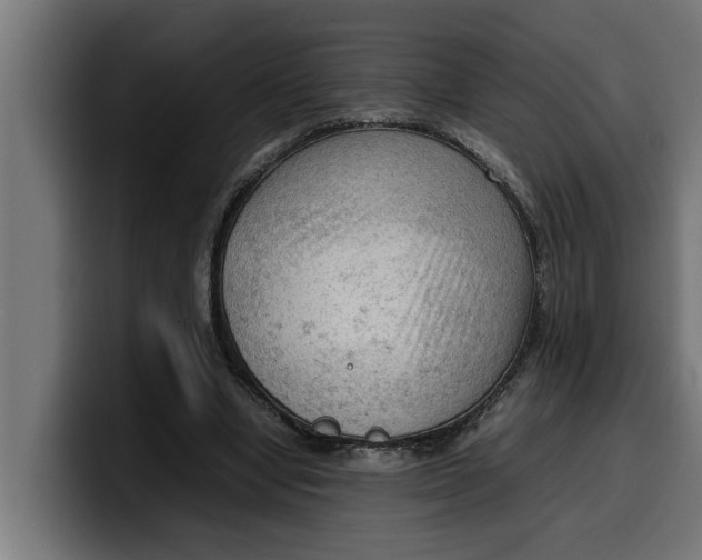 X0000099980442200806131402