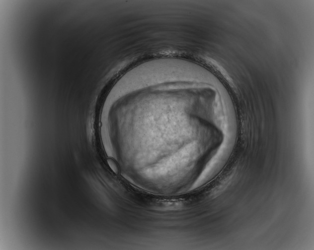 X0000099980443200806131402