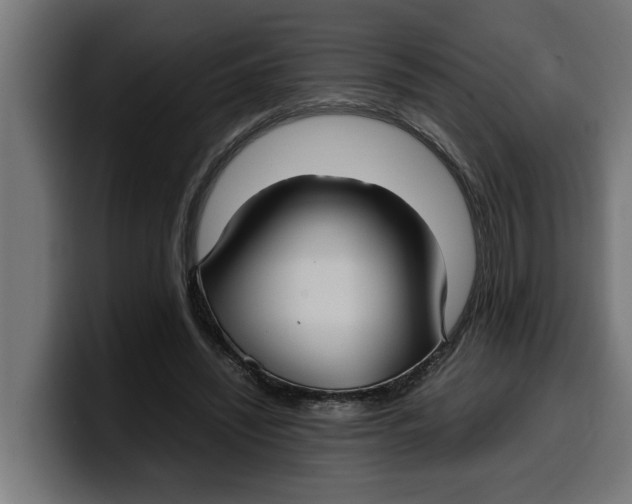 X0000099980444200806131402