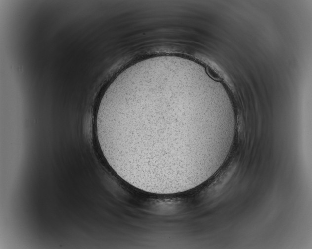 X0000099980445200806131402