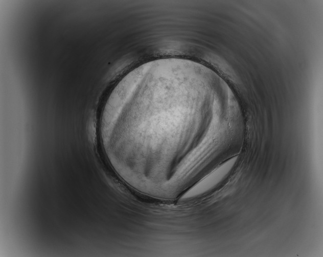 X0000099980446200806131402