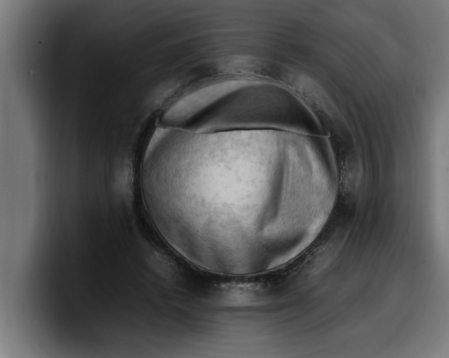 X0000099980448200806131402