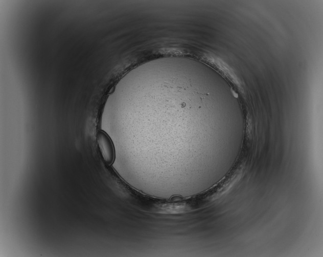 X0000099980449200806131402