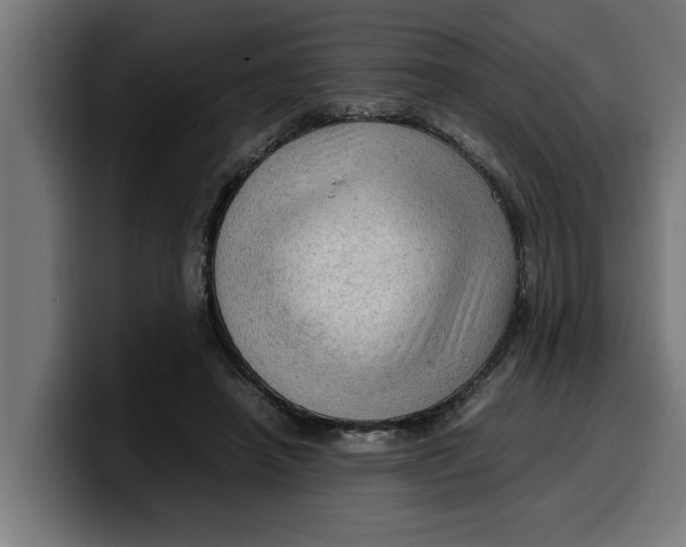 X0000099980450200806131402