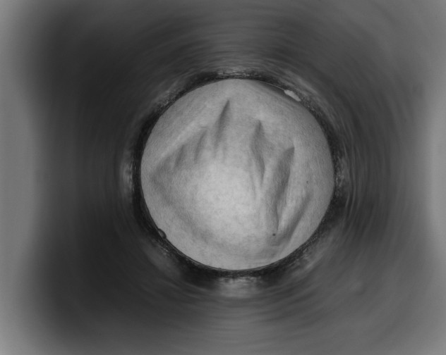 X0000099980452200806131402