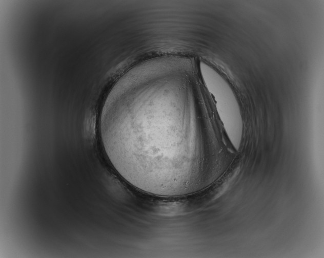 X0000099980454200806131402