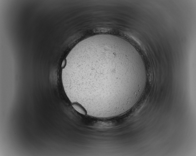 X0000099980455200806131402