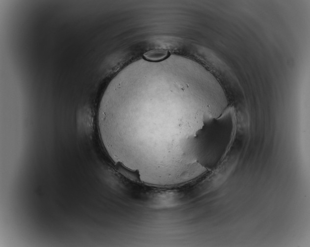 X0000099980456200806131403