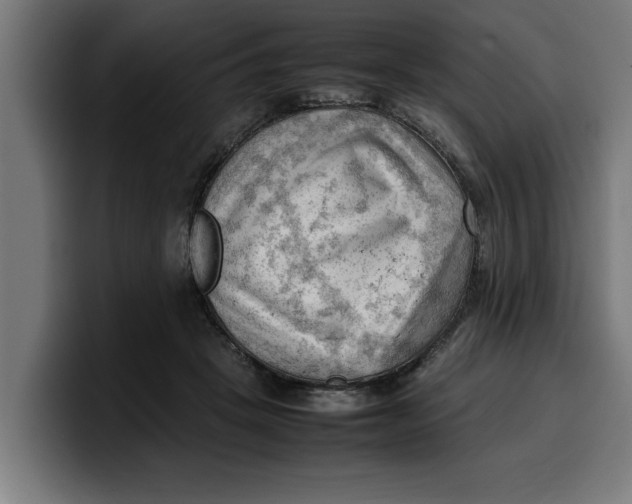 X0000099980457200806131403