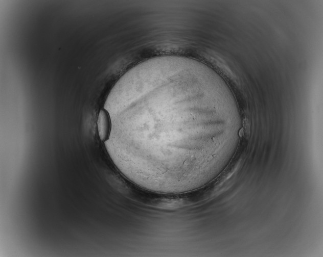 X0000099980458200806131403