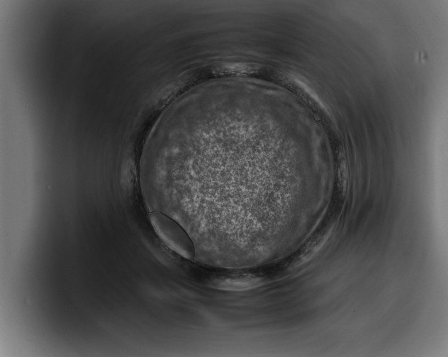 X0000099980459200806131403