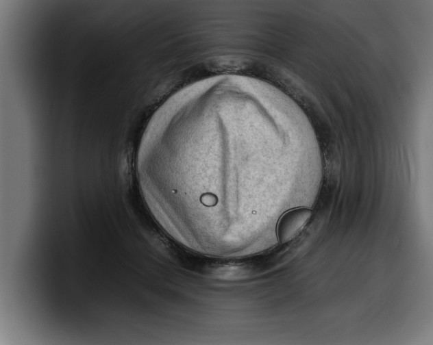 X0000099980460200806131403