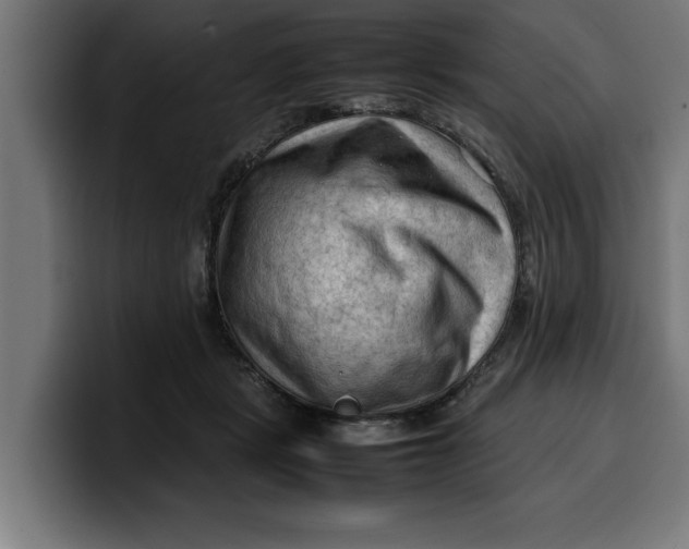 X0000099980461200806131403