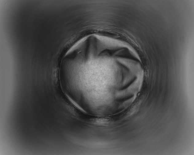 X0000099980462200806131403