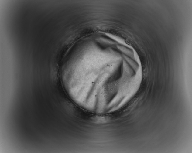 X0000099980464200806131403