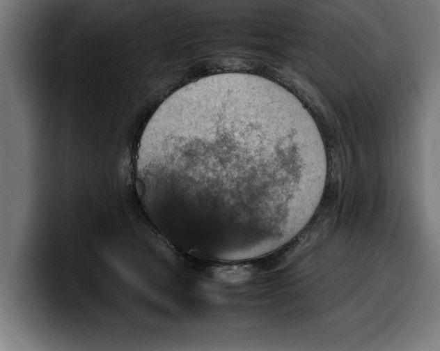 X0000099980465200806131403