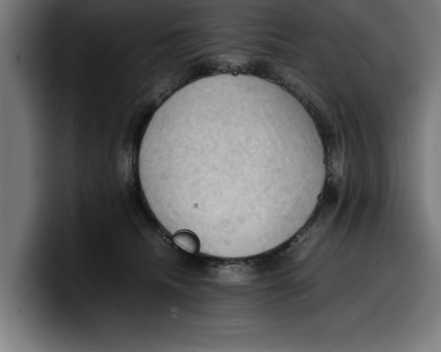 X0000099980468200806131403