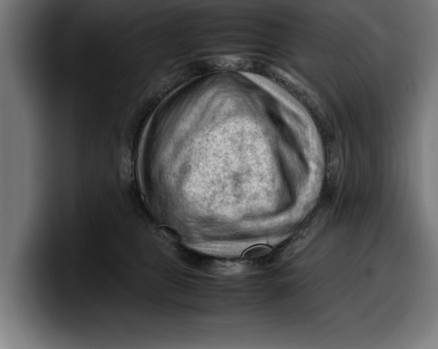 X0000099980469200806131403