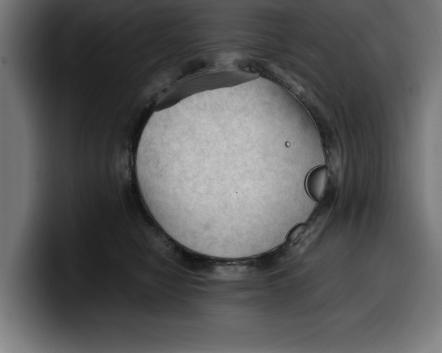 X0000099980470200806131403