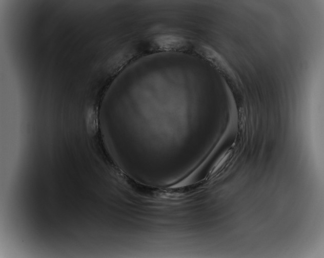 X0000099980471200806131403