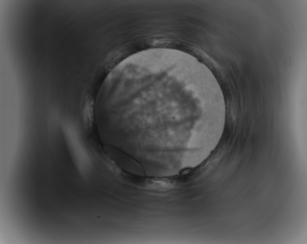 X0000099980475200806131403